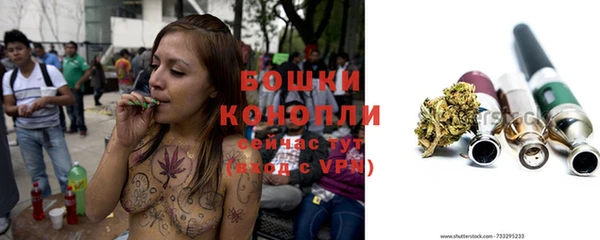 гидра Шарыпово