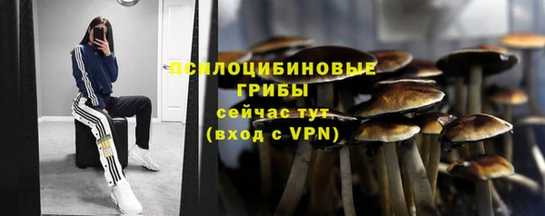 амфетамин Анжеро-Судженск