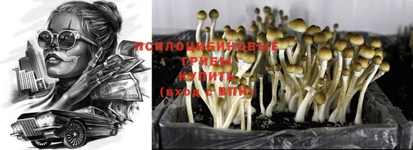 кристаллы Шадринск