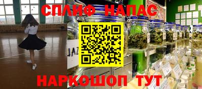 трава Бийск