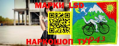 дурь Берёзовский