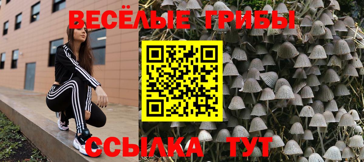 Галлюциногенные грибы Cubensis  Галлюциногенные грибы GOLDEN TEACHER  Великий Устюг 